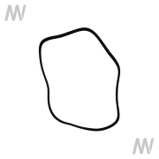 Rillenriemen 10PK - 2562 - More 1