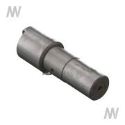 Bolzen für Federung Vorderachse - More 1