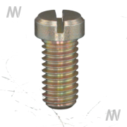 Flachkopfschr.M6x12 DIN920 5.8 - More 1