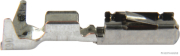 Blade receptacle, TE Connectivity, 0.5-0.75 mm² (50 pieces) - More 1