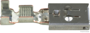 Blade receptacle, silver-plated,  LSK 8 ELA, 4.0-6.0 mm² (50 pieces) - More 1