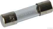 Glassicherung F flink bis 250V/1A 5x20mm (10 Stück) - More 1