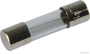 Glassicherung F flink bis 250V/10A 5x20mm (10 Stück) - More 1