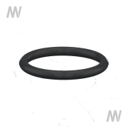 O-Ring - More 1