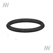 O-Ring - More 1