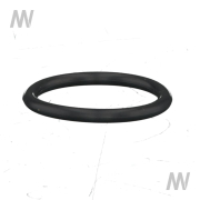 O-ring f. pressure filter flange - More 1