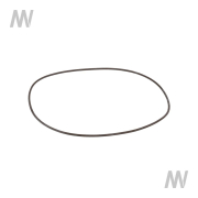 O-Ring - More 1