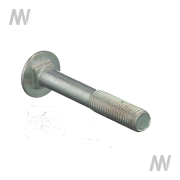 Carriage bolt - More 1