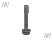 Connecting rod screw D series - More 1