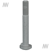 Felgenschraube m. Nase - More 1