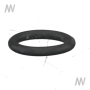 O-Ring - More 1