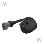 Steckdose 7-pol hinten - More 1