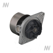 Wassserpumpe - More 1