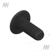 Rundkopfflanschschraube m. Torx - More 1