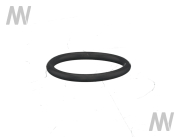 O-Ring - More 1