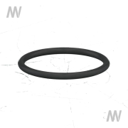 O-Ring - More 1