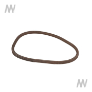 Keilriemen Grün - More 1