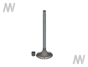 Einlassventil - More 1