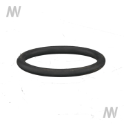 O-Ring - More 1
