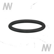 O-Ring f. Injektor - More 1
