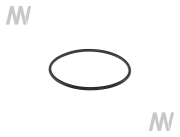 O-Ring - More 1