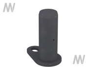 Bolzen 65x170mm - More 1
