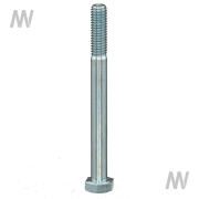 Screw - More 1