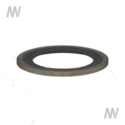 Radialdichtring - More 1