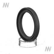 Radial Wellendichtring - More 1