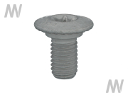 Torx screw - More 1