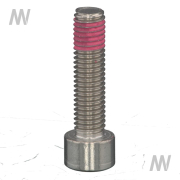 Schraube (BZK) M10X40/A4-70 - More 1