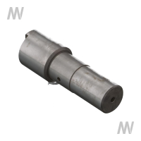 Bolzen für Federung Vorderachse