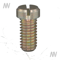 Flachkopfschr.M6x12 DIN920 5.8