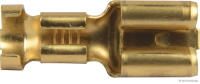 Blade receptacle, brass, 6.3 mm, 2.5-6 mm², (100 pieces)