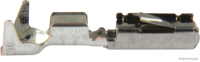 Blade receptacle, TE Connectivity, 0.5-0.75 mm² (50 pieces)