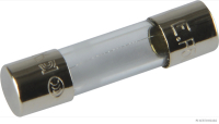 Glassicherung F flink bis 250V/0,5A 5x20mm (10 Stück)