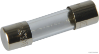 Glassicherung F flink bis 250V/1A 5x20mm (10 Stück)
