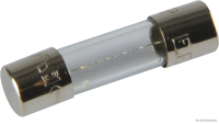 Glassicherung F flink bis 250V/2,5A 5x20mm (10 Stück)