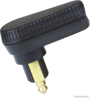 Angle plug, angled