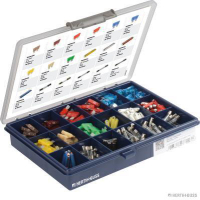 Box of assorted standard blade fuses (2-30A/ 405 pcs.)