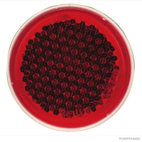 Rückstrahler Rot (10 Stück)