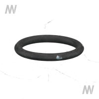 O-ring