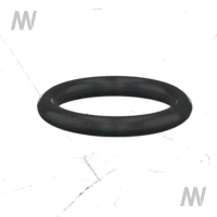 O-ring