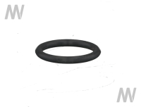 O-ring