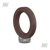 Shaft seal ring