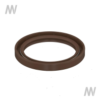 Shaft seal ring