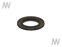 Shaft seal ring