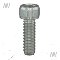 Allen screw