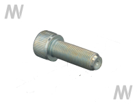 Allen screw