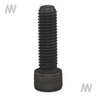 Allen screw